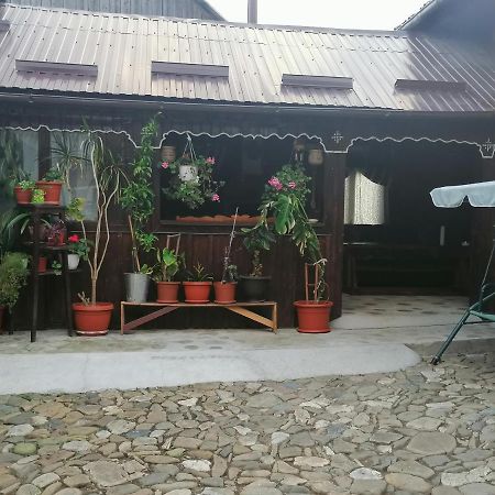 הוילה Mînăstirea Humorului Casa Agroturistica Teodora מראה חיצוני תמונה