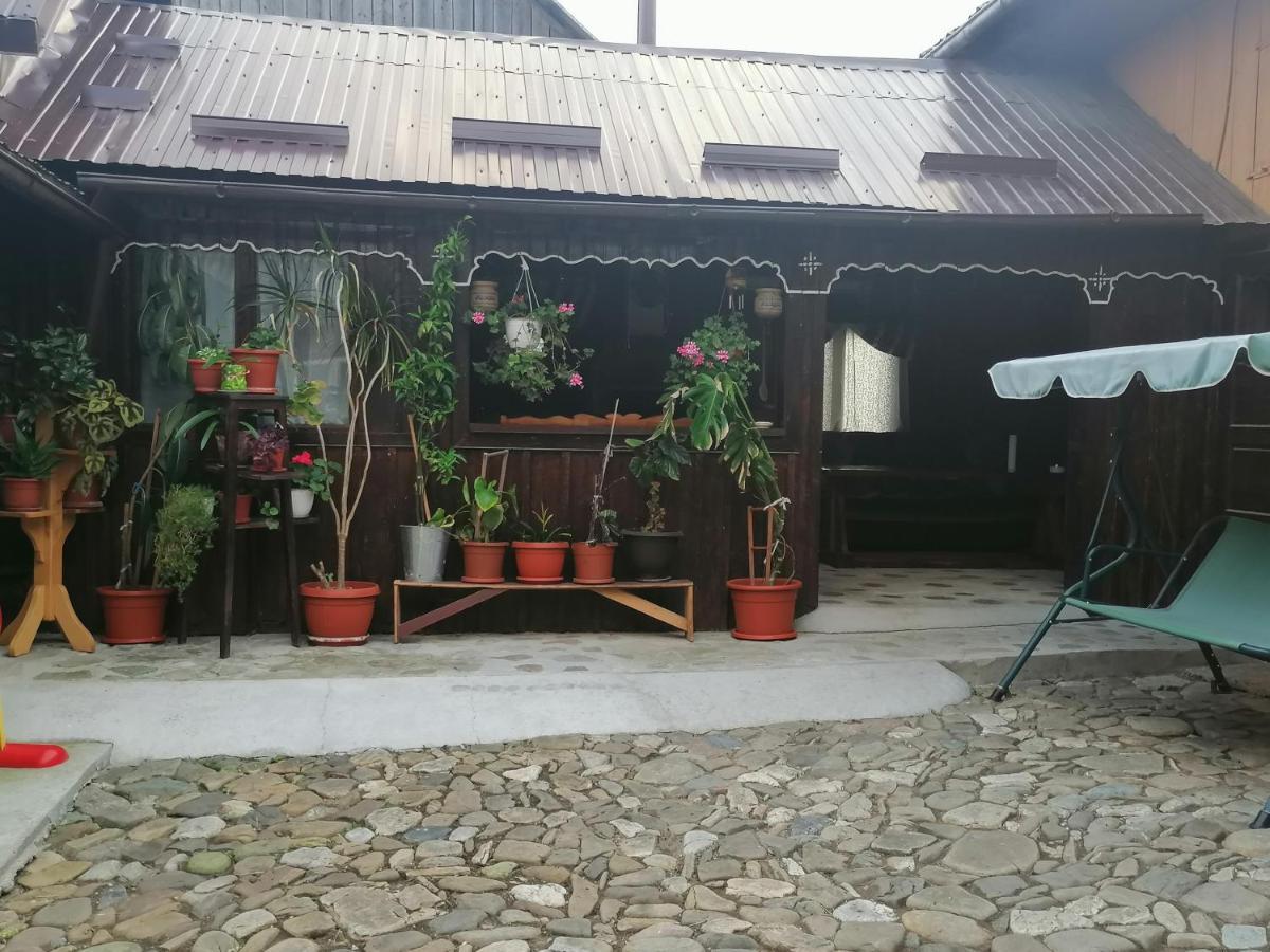 הוילה Mînăstirea Humorului Casa Agroturistica Teodora מראה חיצוני תמונה