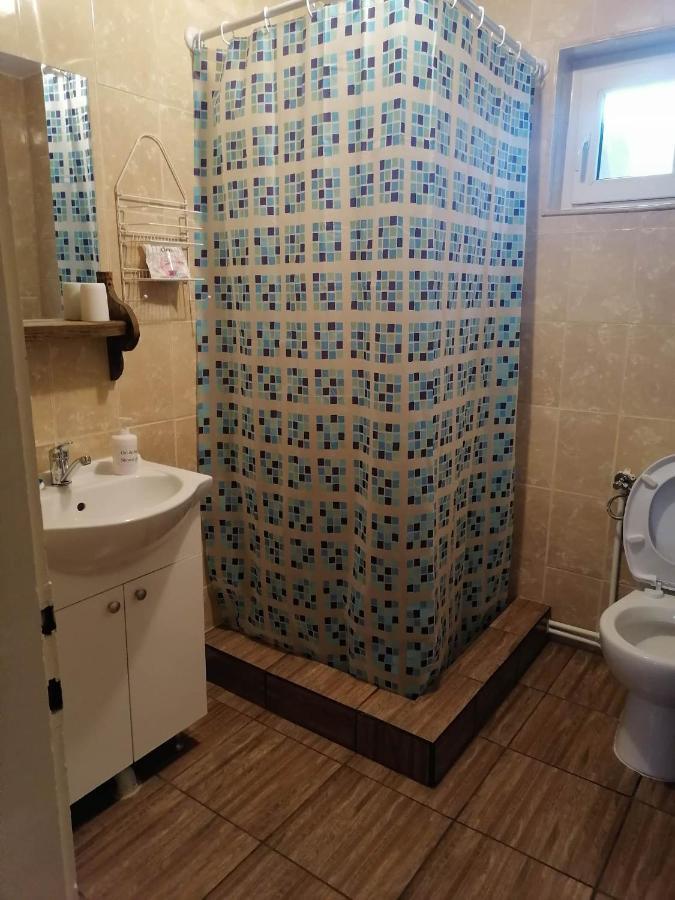 הוילה Mînăstirea Humorului Casa Agroturistica Teodora מראה חיצוני תמונה